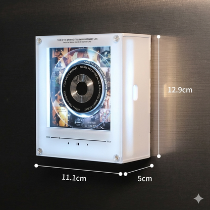 Vinyl Fridge™ - Music Box